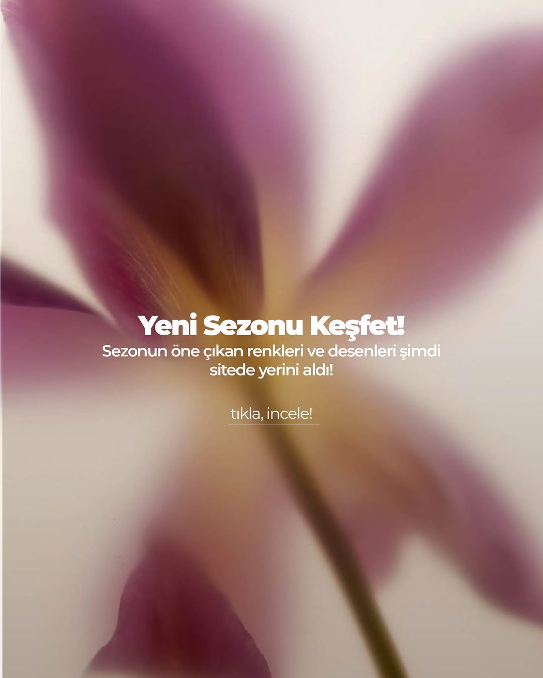 Emproyal Instagram içeriği